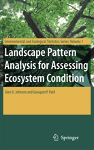 Glen Johnson, Glen D Johnson, Glen D. Johnson, Ganapati P Patil, Ganapati P. Patil - Landscape Pattern Analysis for Assessing Ecosystem Condition