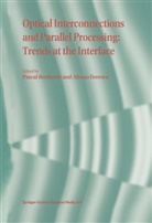 Pasca Berthome, Pascal Berthome, Pascal Berthomé, FERREIRA, Ferreira, Afonso Ferreira... - Optical Interconnections and Parallel Processing