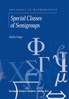A Nagy, A. Nagy, Attila Nagy - Special Classes of Semigroups