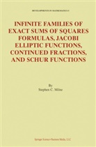 Stephen Milne, Stephen C Milne, Stephen C. Milne - Infinite Families of Exact Sums of Squares Formulas, Jacobi Elliptic Functions, Continued Fractions, and Schur Functions