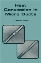 Yitshak Zohar - Heat Convection in Micro Ducts