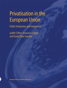 Judit Clifton, Judith Clifton, Francisc Comín, Francisco Comín, Daniel Diaz Fuentes, Daniel D Fuentes... - Privatisation in the European Union