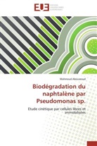Mahmoud Abouseoud, Abouseoud-M - Biodegradation du naphtalene par