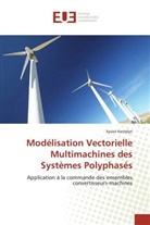 Xavier Kestelyn, Kestelyn-X - Modelisation vectorielle