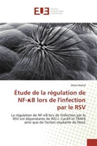 Alexis Martel, Martel-a - Etude de la regulation de nf b