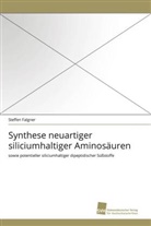 Steffen Falgner - Synthese neuartiger siliciumhaltiger Aminosäuren
