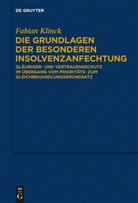 Fabian Klinck - Die Grundlagen der besonderen Insolvenzanfechtung