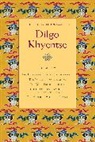 Dilgo Khyentse, Rab-Gsal-Zla-Ba, Dis-mgo Mkhyen-brtse Rab-gsal-zla-ba, Vivian Kurz, Matthieu Ricard - The Collected Works of Dilgo Khyentse, Volume Two