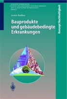Armin Radünz - Bauprodukte und gebäudebedingte Erkrankungen