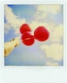 Jenifer Altman, Altman Jenifer, Jenifer Altman - Polaroid Journal