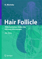 K Morioka, K. Morioka, Kiyokazu Morioka - Hair Follicle