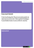 Franz-Josef Schmitt - Untersuchung der Fluoreszenzdynamik im Antennensystem des Chlorophyll d-haltigen Cyanobakteriums Acaryochloris marina