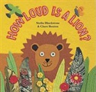 Clare Beatob, Stella Blackstone, Clare Beaton - How Loud Is a Lion
