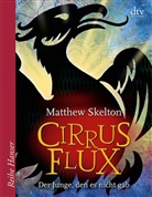 Matthew Skelton - Cirrus Flux