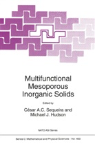 Césa A C Sequeira, César A C Sequeira, Michael J. Hudson, Michael J.                     10001065201 Hudson, J Hudson, J Hudson... - Multifunctional Mesoporous Inorganic Solids