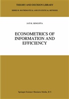 Jati Sengupta, Jati K. Sengupta - Econometrics of Information and Efficiency