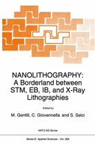 M. Gentili, C. Giovannella, Carl Giovannella, Carlo Giovannella, S. Selci, Stefano Selci - Nanolithography