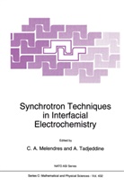 A Melendres, C A Melendres, C. A. Melendres, C.A. Melendres, Carlos A. Melendres, Tadjeddine... - Synchrotron Techniques in Interfacial Electrochemistry