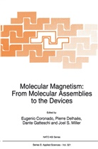 E. Coronado, Eugenio Coronado, Pierr Delhaès, Pierre Delhaès, D. Gatteschi, Dante Gatteschi... - Molecular Magnetism: From Molecular Assemblies to the Devices