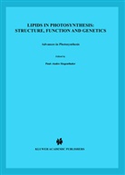 murata, MURATA, N. Murata, Norio Murata, Paul-Andr Siegenthaler, Paul-André Siegenthaler - Lipids in Photosynthesis: Structure, Function and Genetics