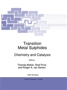 R A van Santen, Prins, H Prins, H. Prins, Roel Prins, R. A. van Santen... - Transition Metal Sulphides