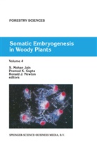 Pramod K. Gupta, Pramod P. K. Gupta, Pramod P.K. Gupta, R J Newton, S. M. Jain, S. Mohan Jain... - Somatic Embryogenesis in Woody Plants