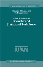 T. Kambe, Tsutomu Kambe, T Miyauchi, T. Miyauchi, Toshio Miyauchi, Nakano... - IUTAM Symposium on Geometry and Statistics of Turbulence