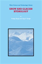 P Singh, P. Singh - Snow and Glacier Hydrology