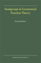 D Shoikhet, D. Shoikhet, David Shoikhet - Semigroups in Geometrical Function Theory