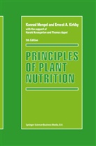 A Gianturco, A Gianturco, Thomas Appel, Franco A Gianturco, Franco A. Gianturco, Ernest A. Kirkby... - New Directions in Antimatter Chemistry and Physics