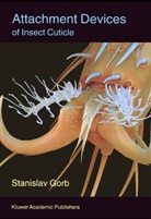 Stanislav Gorb, Stanislav N. Gorb, Stanislav S N Gorb, Stanislav S. N. Gorb - Attachment Devices of Insect Cuticle
