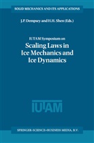 J. P. Dempsey, J.P. Dempsey, H Shen, H Shen, P Dempsey, J P Dempsey... - IUTAM Symposium on Scaling Laws in Ice Mechanics and Ice Dynamics