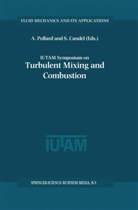 CANDEL, Candel, Sebastien Candel, Andre Pollard, Andrew Pollard - IUTAM Symposium on Turbulent Mixing and Combustion