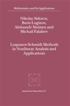 M. V. Falaleev, M.V. Falaleev, Bori Loginov, Boris Loginov, Nikola Sidorov, Nikolay Sidorov... - Lyapunov-Schmidt Methods in Nonlinear Analysis and Applications