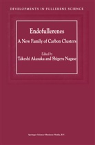 Akasaka, T Akasaka, T. Akasaka, Takeshi Akasaka, Nagase, Nagase... - Endofullerenes