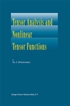 Yu. I. Dimitrienko, Yuriy I Dimitrienko, Yuriy I. Dimitrienko - Tensor Analysis and Nonlinear Tensor Functions
