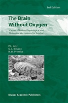 P Lutz, P L Lutz, P. L. Lutz, P.L. Lutz, Peter L. Lutz, G Nilsson... - The Brain Without Oxygen