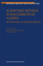 J Bueso, J L Bueso, J. L. Bueso, J.L. Bueso, José Bueso, Jos Gómez-Torrecillas... - Algorithmic Methods in Non-Commutative Algebra
