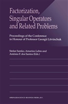 António F. dos Santos, António F dos Santos, Amarin Lebre, Amarino Lebre, Stefan Samko, António F. dos Santos - Factorization, Singular Operators and Related Problems