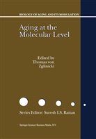 T. Von Zglinicki, Thoma von Zglinicki, Thomas von Zglinicki, Thomas von Zglinicki - Aging at the Molecular Level