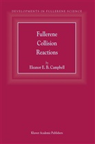 E E Campbell, E. E. Campbell, E.E. Campbell, Eleanor E. B. Campbell - Fullerene Collision Reactions