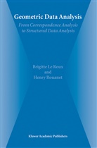 Brigitt Le Roux, Brigitte Le Roux, Henry Rouanet - Geometric Data Analysis
