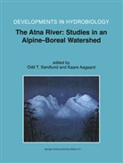 Aagaard, Aagaard, Kaare Aagaard, Odd T. Sandlund, Odd Terje Sandlund, Od Terje Sandlund... - The Atna River