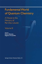 Erkki J. Brändas, Erkk J Brändas, Erkki J Brändas, Eugene S. Kryachko, S Kryachko, S Kryachko - Fundamental World of Quantum Chemistry. Vol.3