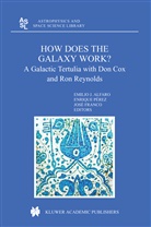 José Franco, Emilio Javier Alfaro, Enriqu Perez, Enrique Perez - How does the Galaxy work?