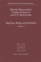 Nadiy Gubareni, Nadiya Gubareni, Michie Hazewinkel, Michiel Hazewinkel, V Kirichenko, V. V. Kirichenko... - Algebras, Rings and Modules
