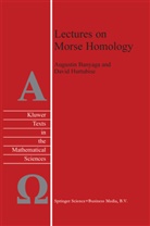 Deborah AJAYI, Augusti Banyaga, Augustin Banyaga, David Hurtubise - Lectures on Morse Homology