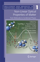 Manthos G. Papadopoulos, Andrze J Sadlej, Andrzej J Sadlej, Jerzy Leszczynski, Manthos G. Papadopoulos, Andrzej J. Sadlej - Non-Linear Optical Properties of Matter