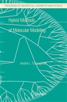 Andrei L Tchougréeff, Andrei L. Tchougréeff - Hybrid Methods of Molecular Modeling