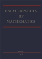 Michie Hazewinkel, Michiel Hazewinkel - Encyclopaedia of Mathematics